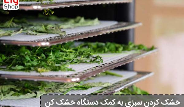 سبزی خشک کن