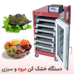 دستگاه خشک-کن میوه و سبزی