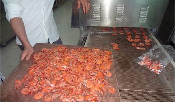 دستگاه خشک کن میگو