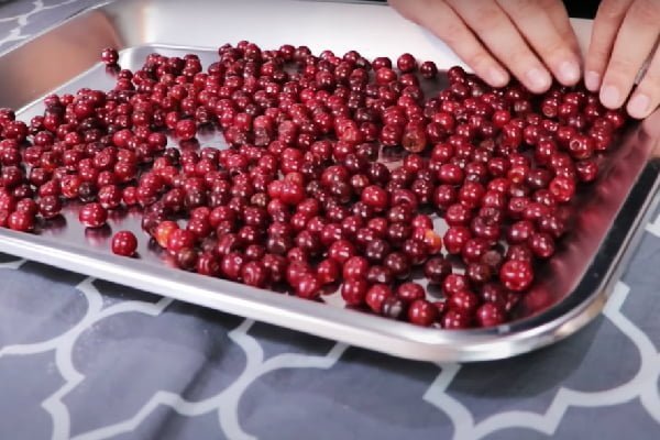 خشک کردن آلبالو