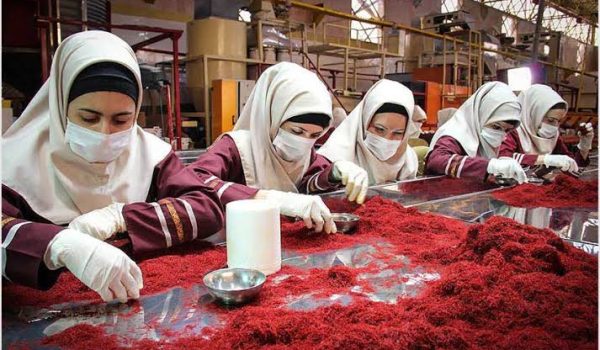 خط بسته بندی زعفران